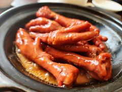 鲍汁凤爪-维园悦谱·海派家常菜(乌鲁木齐南路店)
