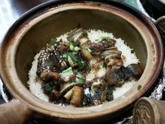 -红星光发煲仔饭(大石街店)
