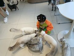 -怪兽屋·羊驼·猫咖·狗咖(俊华广场店)