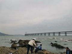 -黑石礁公园