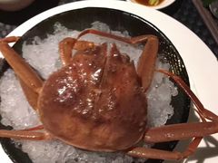 -半岛翡丽海鲜自助餐厅(观风亭店)