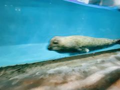 -常州海昌海洋探索馆