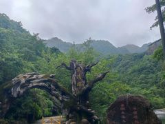 -龙湾潭国家森林公园