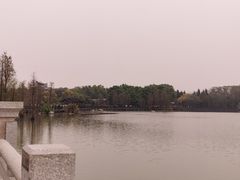 -海珠湖公园