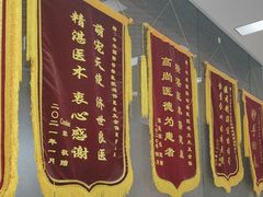 -中农国际动物医院24小时·猫科·骨科·急重症中心
