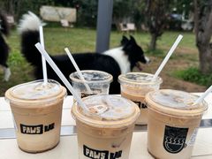 -爪吧宠物乐园 (温榆河示范区店)