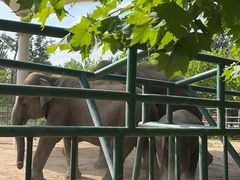 -秦皇岛野生动物园