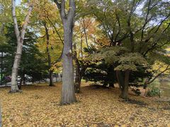 -北海道厅旧本厅舍(旧本庁舎)