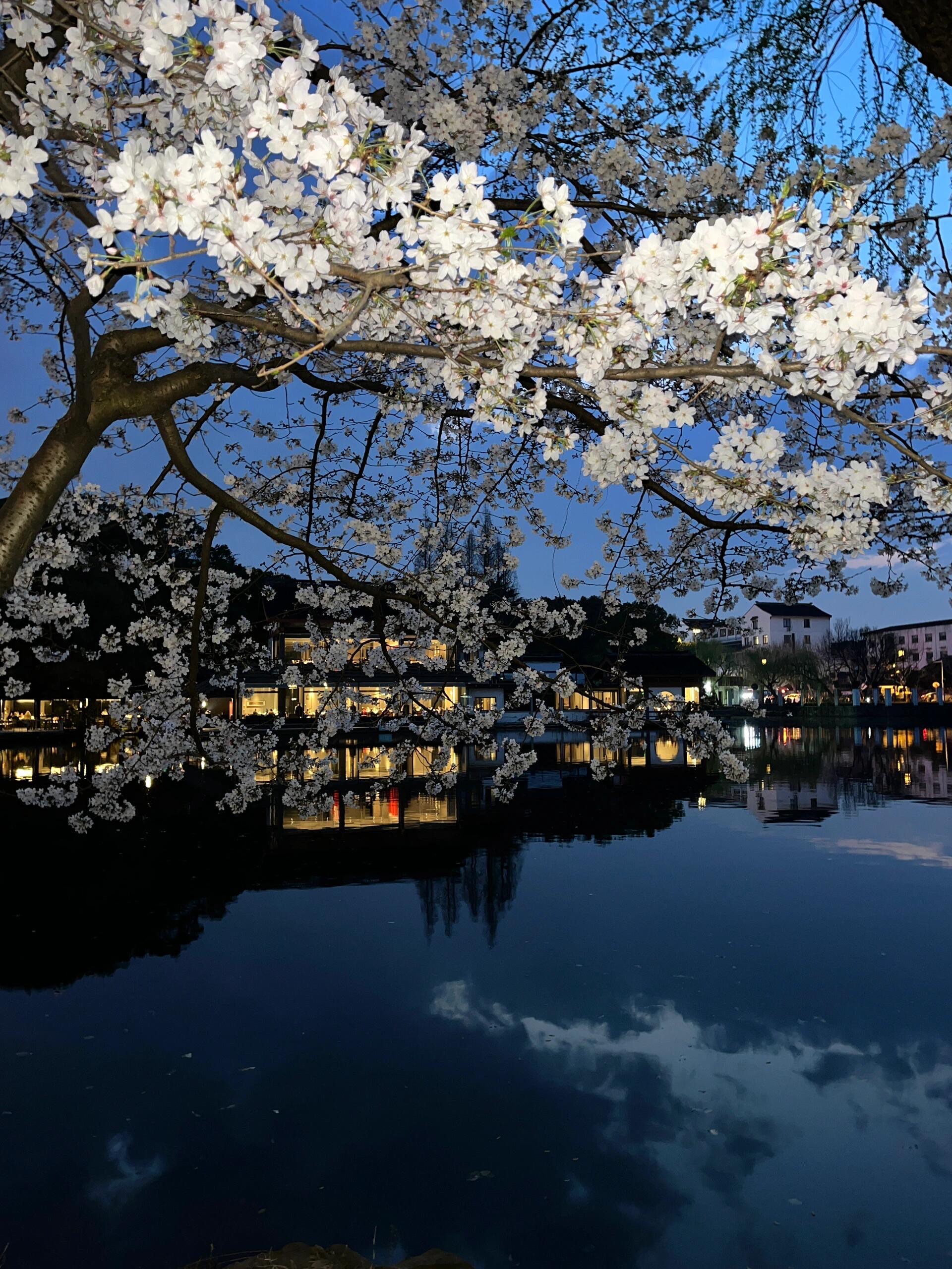 春江花月夜景色图片