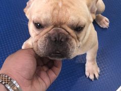 -牧马人宠物医院