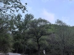-雾灵西峰