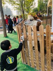 -萌宠亲子动物乐园(槐房万达店)