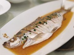 -吴记小园楼(新庄店)