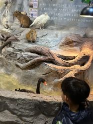 -Zoolung Zoolung动物主题公园(海信广场店)