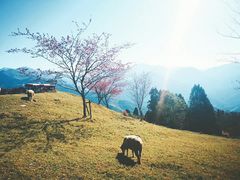 -高雄85大楼-观景台