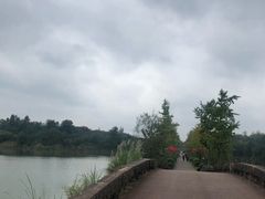 -白鹭湾湿地公园