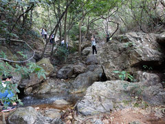 -牛鱼嘴原始生态风景区