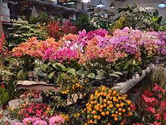 -双季花艺园艺市场(浦东店)