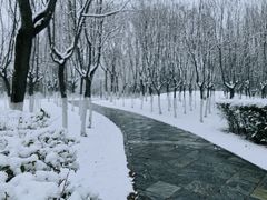 -长安大学(北校区)