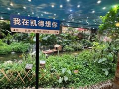 -凯德广场(学府店)