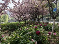 -清真·马坡烧烤涮牛肚·酸浆火锅(新区总店)