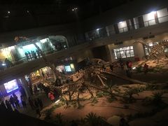 -自贡恐龙博物馆