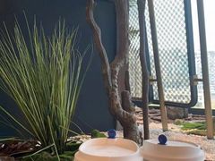 -瑞幸咖啡(艺树家工场店)