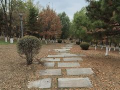 -莫子山公园