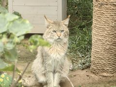 -青藏高原野生动物园