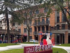 -华山263老字号品牌馆