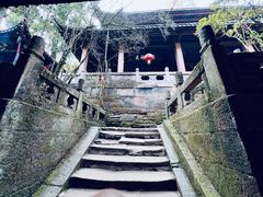 -青城山