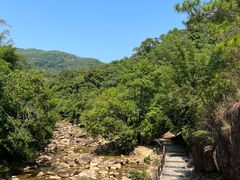 -广州白江湖森林公园