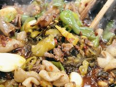 -张氏父子常德肠子馆(红星总店)