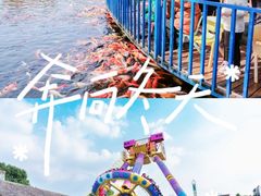 -南湖梦幻岛
