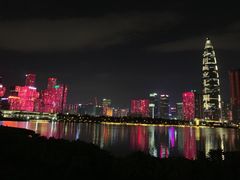-蛇口康乐快餐鱼仔档(翠苑小区店)