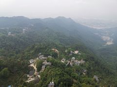 -大金鹰园