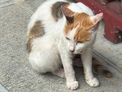 -长春观