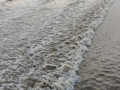 -观潮胜地公园
