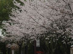 -堤角公园