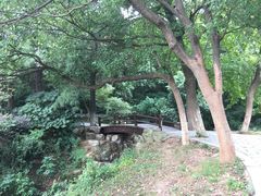 -宝岩生态观光园