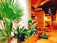 -Wagas沃歌斯(武汉恒隆广场店)