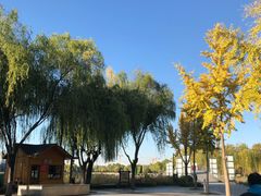 -廊坊文化艺术中心