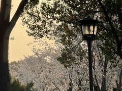 -上海野生动物园