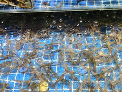 -浦阳面馆(萧山店)