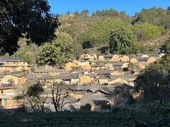 -杨家堂村
