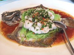 -津菜典藏河西店(水上店)