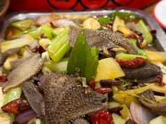 -聂发财重庆江湖菜(解放碑店)