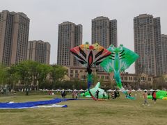 -府河摄影公园