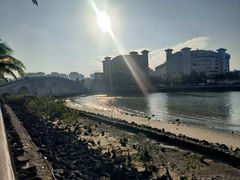 -万绿园