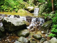 -青峰峡国家森林公园